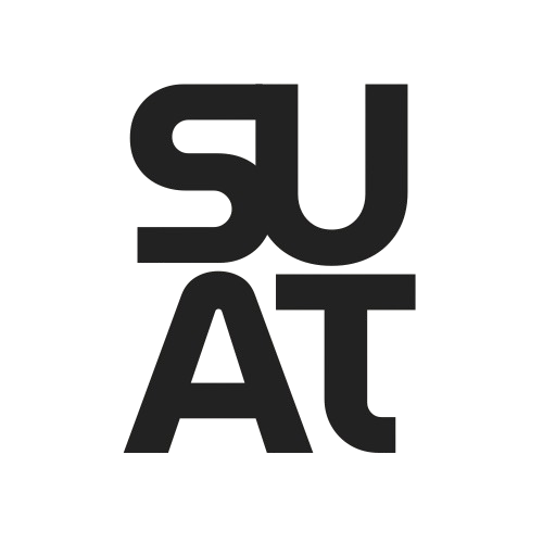 Cybersecurity consulting – Suat IZMIR